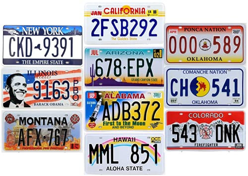 - Set of 10 Metal USA Car LICENSE PLATES - Replica Real American Plates (LF6)