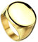 Piersando Band Ring Edelstahl Bandring Ehering Partnerring Biker Rocker Ring Runder Siegelring Damen Herren Größe 52 (16.6) Gold