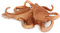 Dutch Kraken Aquarium Decor, The Mysterious Legend Octopus Figure Aquarium Ornament Fish Tank Landscape Artificial Sea Life Replica Decoration Accessories