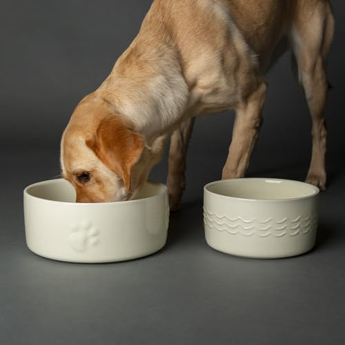Scruffs Icon 2 Piece Dog Food & Water Bowl Set - 25cm | 20cm - Cream