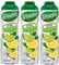 Teisseire Getränke-Sirup Lemon/Zitrone 0% - 600ml - Sirup der genauso schmeckt wie die Frucht (3er Pack)