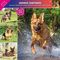 Kalender 2024 Deutscher Schäferhund (Affixe)