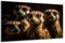 DARO Design - Wand-Bild auf 6mm HDF 30x20 cm Erdmännchen Gruppe - Wand-Deko Bilder Geschenk