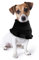 Hund Snood Ohrenwärmer - Beruhigende Ohrenschützer Für Hunde, Hundeschal für Hundehals, Hals und Ohrenwärmer, Haustierhaube für Outdoor-Reisen 25 x 16 cm (Schwarz)