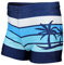 Aquarti Bañador Niño Natación – Bañador Niño con Rayas, Tejido Secado Rápido y Corte Ajustado, Azul Oscuro/Azul/Palmera, 122