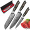 Home Safety Set di Coltelli da Cucina, 3 Pezzi, 67 Strati Acciaio Damasco, Coltello Chef, Santoku, Frutta, 12,4-20 cm, Professionale, Ergonomico