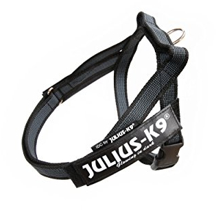 Julius-K9, Color & Gray, Beltgeschirr