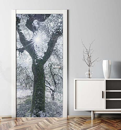 MyMaxxi - Tür bekleben mit Türtapete Türposter Türfolie Selbstklebend 90x200 Winterlicher schneebedeckter Baum - Tür verschönern Türaufkleber Türklebefolie Pflanze Kalt weiß