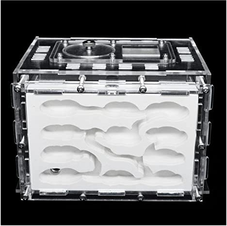 ZHL Acryl Ameisennest, Großes Ameisenfarm, Gips Formicarium Mit Fütterungsbereich Ameisenhaus AntHouse Ameisenhaufen Für Insekt Haustier