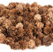 ZYP 250 Stück natürliche Mini-Tannenzapfen, rustikale Tannenzapfen, Ornamente, Vasenfüller, Weihnachten, kleine Tannenzapfen zum Basteln, Tannenzapfen, Dekorationen für den Weihnachtsbaum