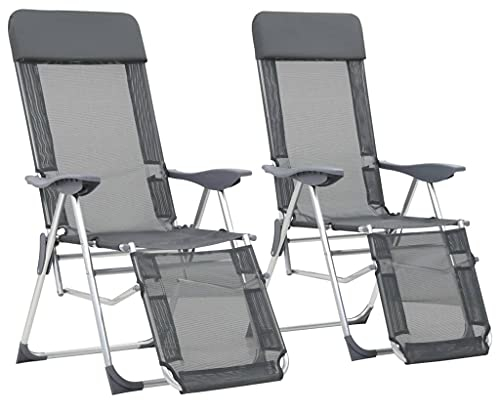 vidaXL Lot de 2 Chaises de Camping Pliantes et Repose-Pied, Fauteuil avec Accoudoirs, Sièges avec Dossier Pêche Pique-Nique, Textilène