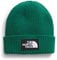 THE NORTH FACE Herren Logo Box Cuffed Beanie-Mütze, Evergreen, One Size