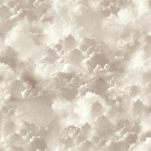 Vanilla Skies Neutral Wallpaper - Clouds Sky Realistic - Modern Contemporary Trendy Stylish Feature Wall