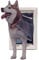 Ideal Pet Products WEPD2XL Wandeingang Haustiertür Doppelklappe für Wände mit eingebautem Teleskoptunnel und Aussperrschiebe, extra groß, Weiß