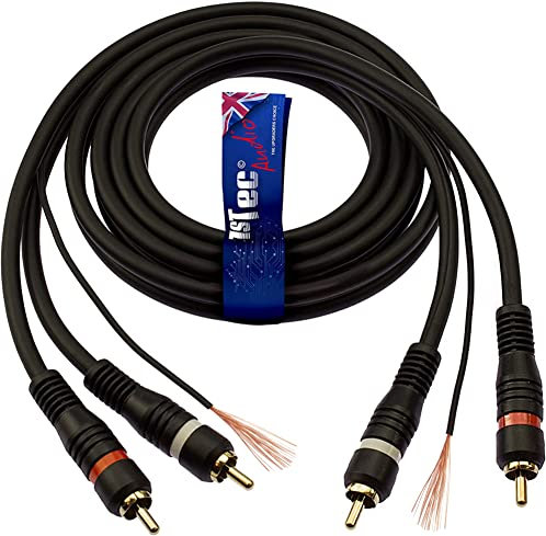 1STec 2 fiches phono RCA rouges + blanches moulées avec fil de terre pour empêcher les retours bourdonnements et bourdonnements du lecteur de disques vinyles amplificateurs stéréo de voiture 3 m