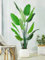 planta artificial grande Platanero artificial traveller's, Super alto 90/ 120/ 160cm Simulación de plantas verdes para interior y exterior, para decoración de interior Garden Yard Farmhouse ( Size : 1