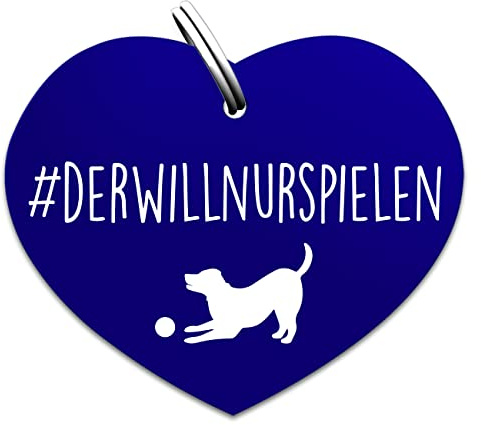 Soulhorse Souldogs Hundemarke mit Gravur - Schöner Anhänger für Hundehalsband Geschirre, Halsbänder & Leinen für Hunde Dog Tag mit Gravur Hundezubehör (Der will nur spielen, blau)