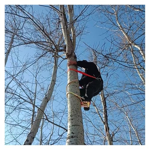 Ramponi Per Alberi Attrezzatura Di Sicurezza Per Arrampicarsi Sulle Palme, Puntelli Da Arrampicata Con Imbracatura, Chiodi Da Palo Antiscivolo Spessi Per Esterni