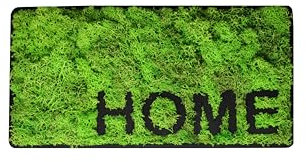 Personalisiertes Moosbild mit Buchstaben - DIY Bastelset - Bild aus Moos und Holz - Moosbild in unterschiedlichen Farben - Komplettset (600x300mm)