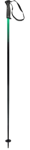 HEAD Unisex-Adult Frontside Black Green Skistöcke, Schwarz/Grün, 135