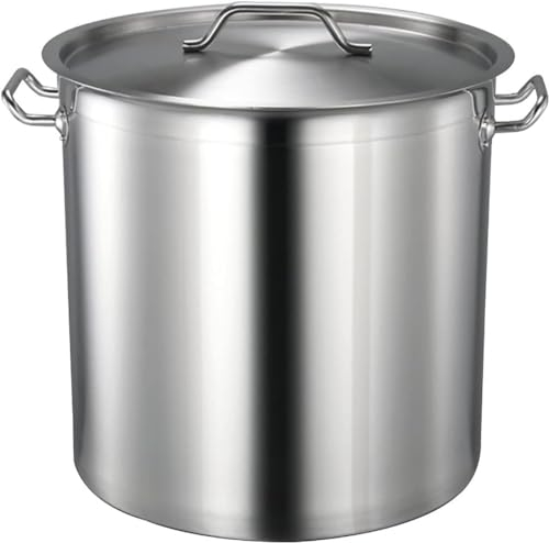 Olla pesada de acero inoxidable con tapa, olla grande, olla de acero inoxidable, olla de cocina de acero inoxidable con -25 x 25 cm (15 L)