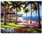 （40 x 50 cm)DIY Square Diamond Painting Full Drill Peinture Diamant Carré Broderie Diamant 5D Cocotier Peinture par numéro Kit Broderie Point de Croix kit Mosaïque Cadeau Décoration Murale Salon