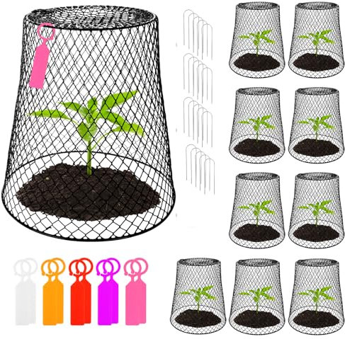 10 Pcs Chicken Wire Cloche Plant Protector Cover Black Metal Garden Cloche Dome for Plants 8×8in Chicken Wire Protection Basket with 20 Pcs Garden Stakes 10 Pcs Labels for Keeping Rabbit Chicken Out