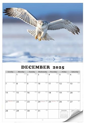Wandkalender 2025 | Adlerwand-Monatskalender von Januar 2025 bis Januar 2026 | hängender Flip-Tagesplaner für Home Office und Schule, kräftiger und heller Planer mit malerischen -Bildern
