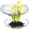 UPKOCH 2 Pièces Bassin Narcisse Bol Aquariums Et Bocaux à Poissons Planteur De Nénuphar Jardinière Succulente De Terrarium Vase Récipient De Plantes Transparent Un Verre