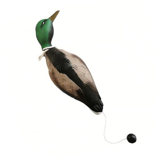 Dummy Hundetraining, Hund Retrieve Schnuller, Hundetraining-Enten, Hundetrainings-Enten Dummy, Mallard Mimics Duck Stoßfänger Spielzeug, Vogeldummy Hundetraining für Welpen oder erwachsene Jagdhunde