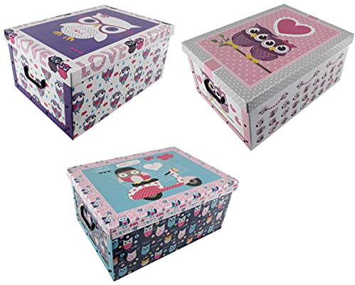 vom Pullach Hof 3er Aufbewahrungsbox aus Pappe in unterschiedlichen Motiven und Designs ca. 51cmx37cmx24cm Pappbox zum Aufbewahren Ordnungsbox Tragegriffe Deckel (Eulen)