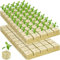 Steinwolle Anzucht 100 Stück Steinwolle Würfel Rockwool Cube Steinwolle Blatt Grow Anzucht Anzuchtmatte Bodenlos Anbau Hydrokultur für Gemüse Stecklinge Kolonisation und Umpflanzen (25x25x25mm)
