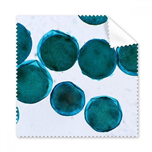 DIYthinker Blau Kreatur Handy Bild-Muster-Brillenputztuch-Reinigungstuch Telefon Schirm-Reinigungsmittel 5pcs Geschenk