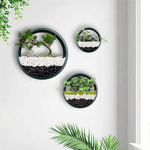 Juego de 3 macetas de pared redondas colgantes de metal para plantas circulares, soporte para plantas de hierro, diseño para suculentas o hierbas, decoración de plantas de aire sintéticas (verde)