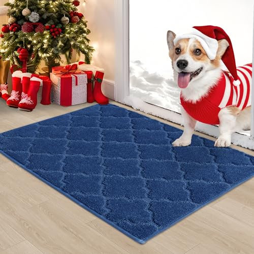 COSY HOMEER Front Door Mat 60x90 CM, Dirt Trapper Floor Mat, Polyester Welcome Door Mat for Kitchen Room Office Entryway Doors, Absorbent Non-Slip Low Profile Indoor Doormat, Machine Washable, Blue