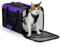 Conlun Katzentransportbox,Weiche Katzentransporttasche mit 4-seitigem Netz, Flugzeugtaugliche Katzentasche für Kleine&Mittelgroße Katze Kätzchen Welpen bis 6 Kg, Hundetransportbox Faltbar-M, Lila