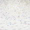 DoDoBeads 720 Pcs 4mm Bicone Crystal Beads, Rainbow-Colored Glass Bracelet Beads for Jewellery Making