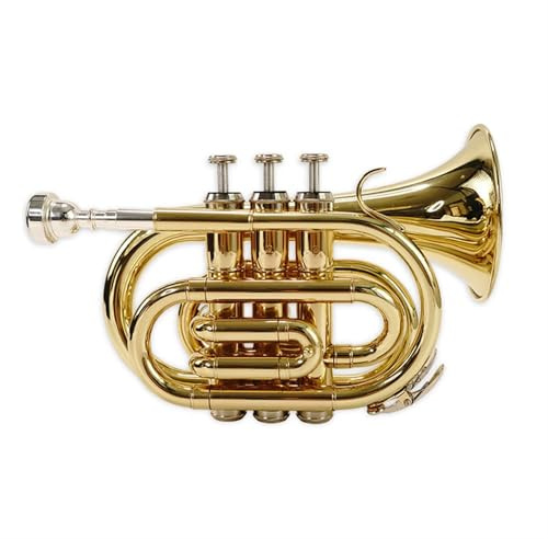 Standard Trompeten Taschentrompete B-Blech-Blechtrompete Instrument Anfänger Profi-Trompete Vollton Standard