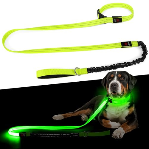 Leuchthalsband Hund & LED Hundeleine Set 2-in-1 Aufladbar mit Typ-C, 500m Sichtbarkeit Dehnbares Band für Nachtspaziergänge（Grün，M