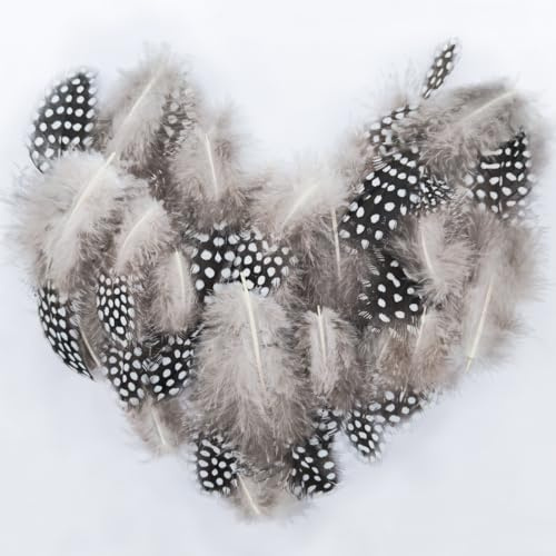 HUCHQIAI Federn Zum Basteln 100 Stück, Perlhuhnfedern,4,5-10 cm, Federn Ostern, für DIY Federn Basteln, Traumfänger Basteln, Hutfedern,Deko Federn Ostern,Karneval, Natürliche Farbe