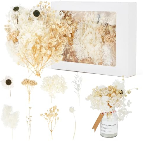 Trockenblumen Klein, Trockenblumen zum Basteln mit 8 Arten von Blumen, Getrocknete Blumen Natürliche Gemischte, Gelb Trockenblumen Deko Dried Flowers für Kunst Basteln, Scrapbooking, DIY-Kerze Harz