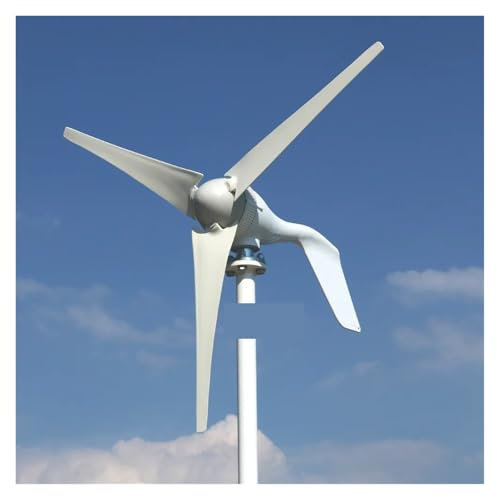 Kit de turbina aerogeneradora de 5000W 3000W, turbina aerogeneradora Horizontal potente molino de viento de uso doméstico de 12V 24V 48V Para el hogar, la granja, los vehículos recreativo(3blades,24V_