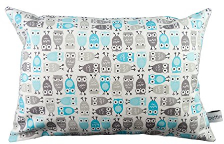 bettina bruder - Kleines Kuschelkissen Eulen Sterne grau weiß türkis 30 cm x 20 cm