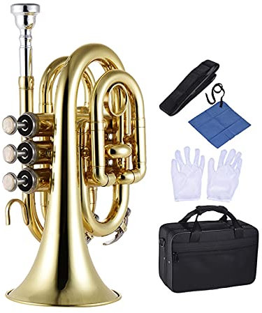 FLFL Professionelle Tasche Trompete Ton Flache BB Trompete Messing Windinstrument Mit Mundstück Handschuhen Tuch Pinsel Fett Hard Fall Student Trompete