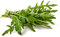 Semi biologici, rucola/senfrauke, 500 semi, resistenti ai semi, 100% naturali