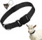 Halsband mit Glöckchen, verstellbares Halsband aus Nylon für Tiere, Anti-Verlust-Glocke, Weidenröhrchen – Aufzuchtzubehör für Schafe, Kühe und Ziegen