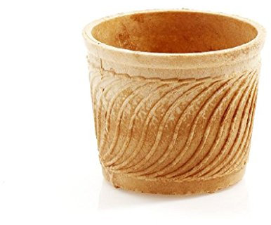 PJaspert Eiswaffeln | Waffelbecher L 175ml 62xØ83mm (22 Stück)