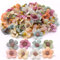 nuluxi Kunstblumen Köpfe Multicolor Gänseblümchen Köpfe Mini Künstliche Seidenblumen Köpfe Künstliche Pflanzen Dekoration Künstliche Blumen Künstliche Scrapbooking Handwerk Hochzeitsdekoration 50 STK