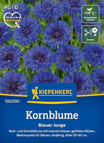 Kiepenkerl Kornblumensamen Blauer Junge 1062590 - Blumensamen für Beet- und Schnittblumen mit einer Wuchshöhe von 50 bis 60 cm und Inhalt für 80 Pflanzen - Saatgut