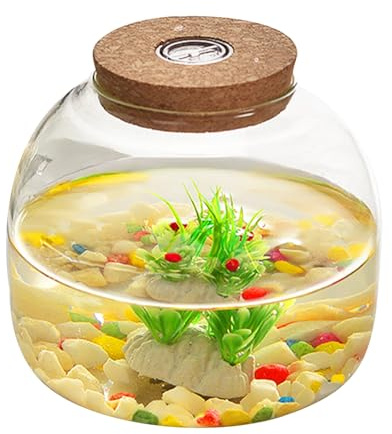 Pots de Fleurs, Terrarium en Verre pour Les Plantes, Terrarium végétal de 1600 ML avec Couvercle de liège, Grand Pot de Terrarium d'ouverture pour Mini-Plantes succulentes, affichages Floraux